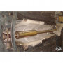 Silent stainless steel front for FORD C-MAX MK1