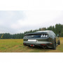 Silent rear duplex stainless steel 1x100mm type 25 for FORD MUSTANG MK6 COUPE/CABRIOLET
