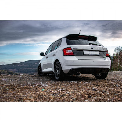 Silencieux arrière inox 1x100mm type 25 pour SKODA FABIA 5R EDITION TYPE NJ