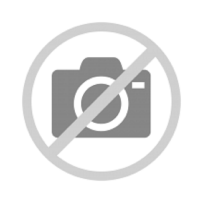 Tube de suppression de silencieux avant inox pour SKODA RAPID (Berline)