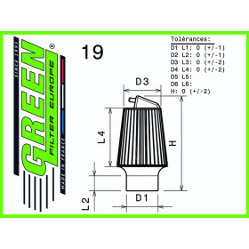 Filtre à air sport GREEN FILTER pour HONDA S2000 2,0L i 16V VTEC 240cv / 176kW