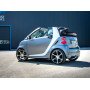 copy of Silent rear duplex stainless steel duplex type 14 for SMART FORTWO TYPE 451 (with Brabus bumper)